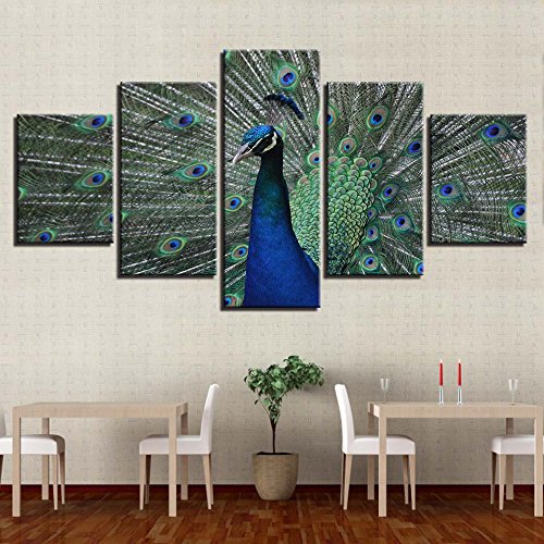 Modular poster home decoration canvas 5 board peacock animal HD print modern living room picture painting wall art