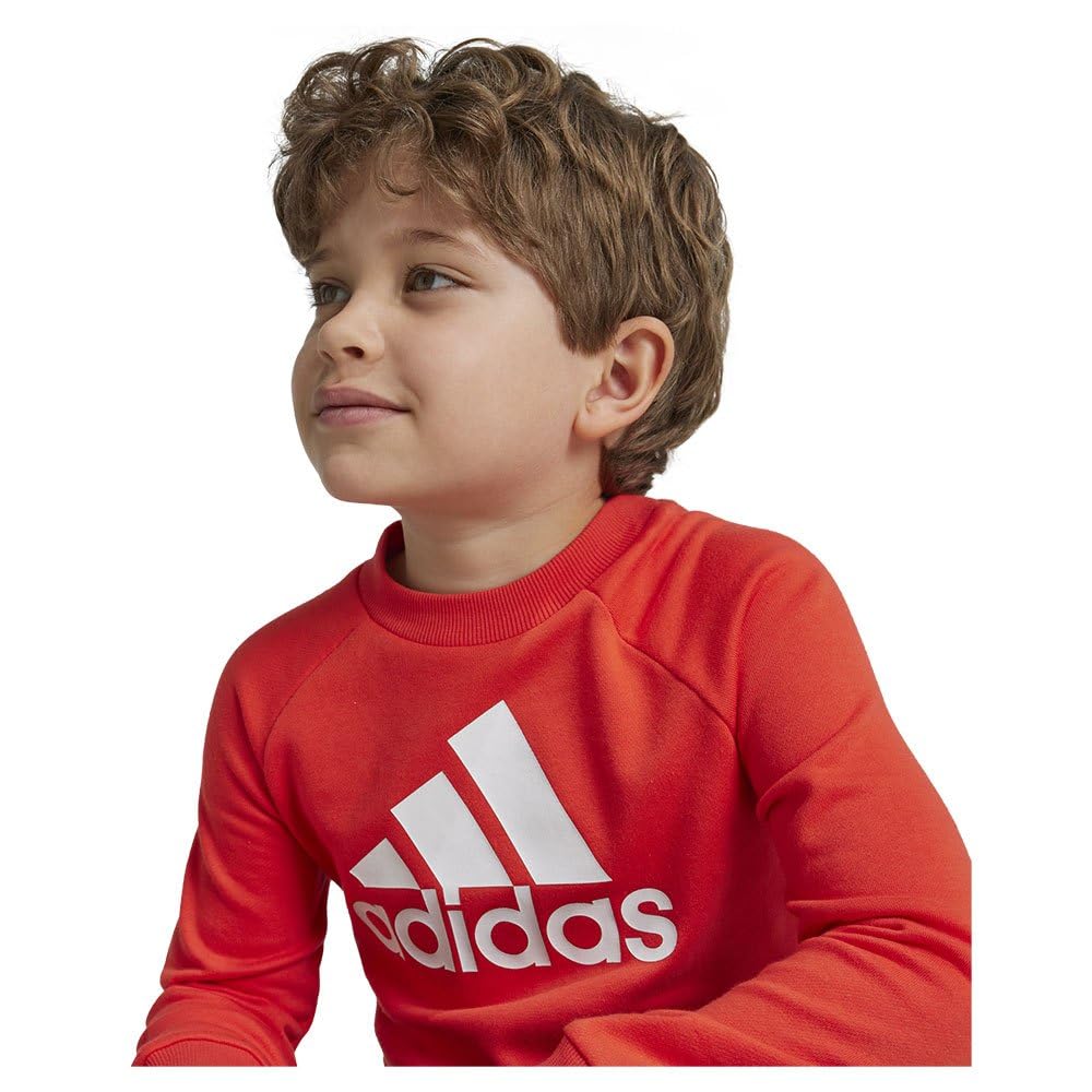adidas Essentials Logo French Terry Jogger Set Chándal Unisex niños