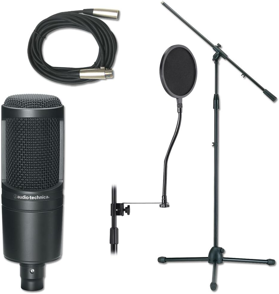 Professional Studio Mic Stand And Cable Package Mic Stand