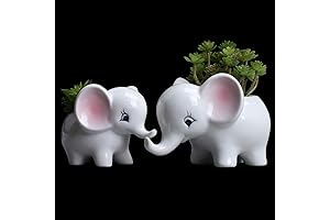 Ogrmar: Enchanting Elephant Succulent Planter Decor