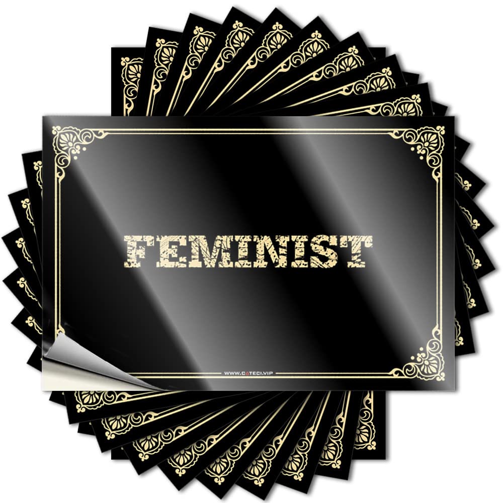 Sogns Funny Feminist Car Stickers (12 x 18 cm)
