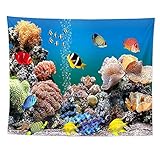 Matériel: Fabriqué à partir de fibres de polyester super doux