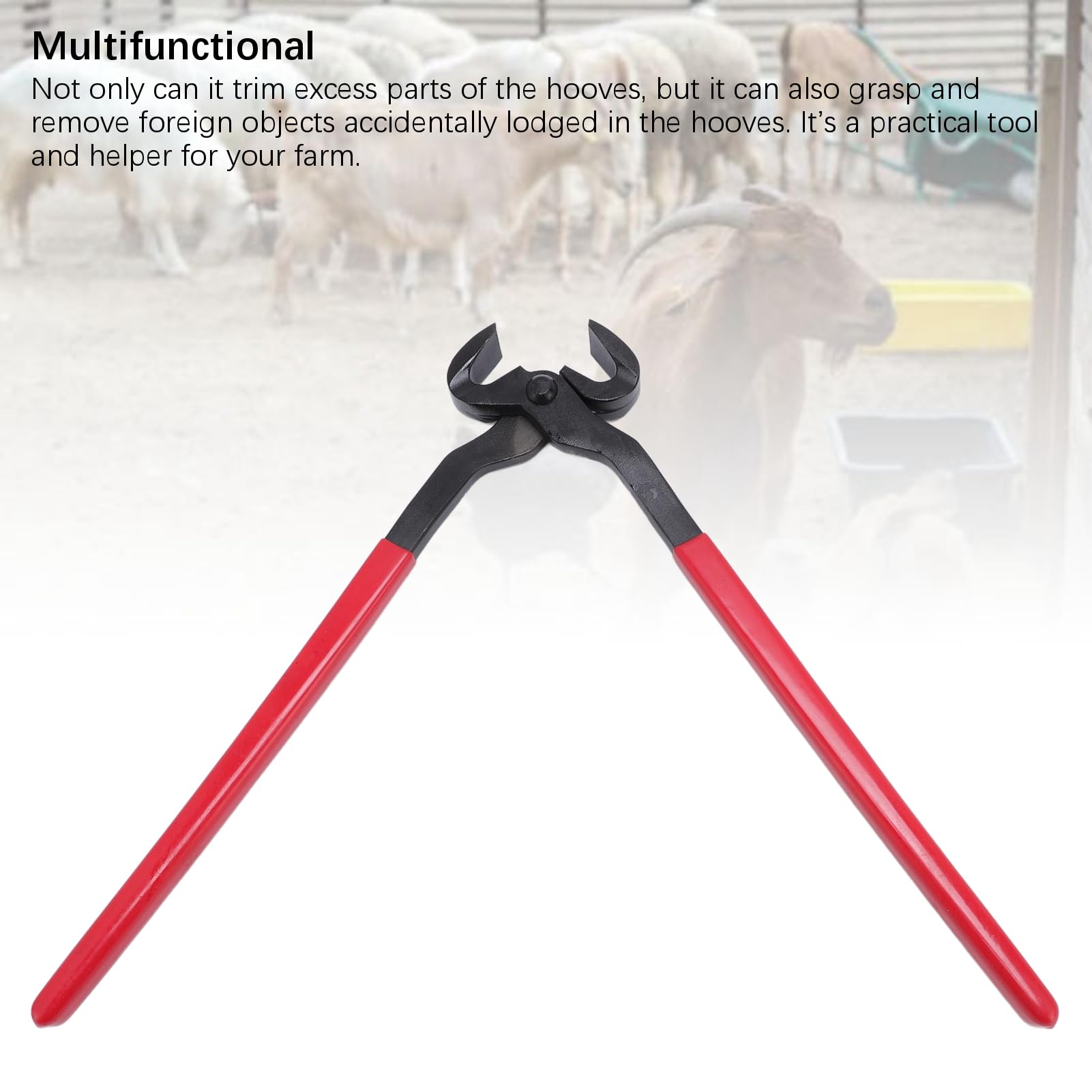 Yosoo Health Gear Pinza per Zoccoli in Acciaio Inossidabile Manico Antiscivolo in Silicone Strumento Multiuso per Maniscalco Acciaio al Vanadio, Lame Allineate a Mano Sapientemente