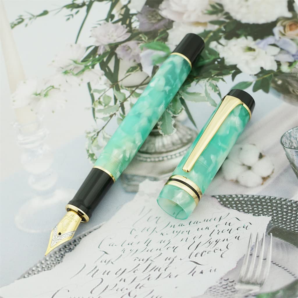 Stylo plume, beau stylo à encre F/Plume pour bureau, école, cadeau