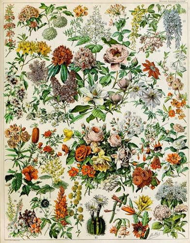 Pintura mural en lienzo de flores de Adolphe Millot para decorar un dormitorio elegante