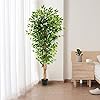 Product Photo 5