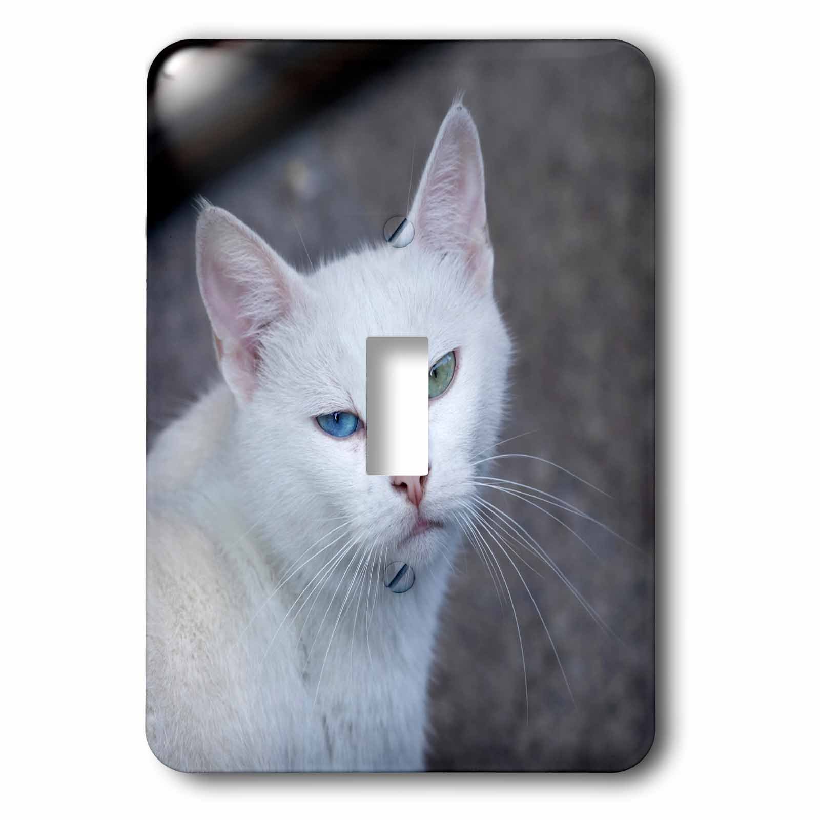 Interrupteur à bascule chat blanc pour une déco de salon ambiance voyage