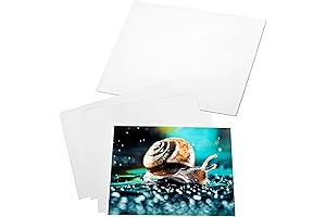 20 Sheets of Photo Paper: Glossy 8X10 Inch Printing Sheets