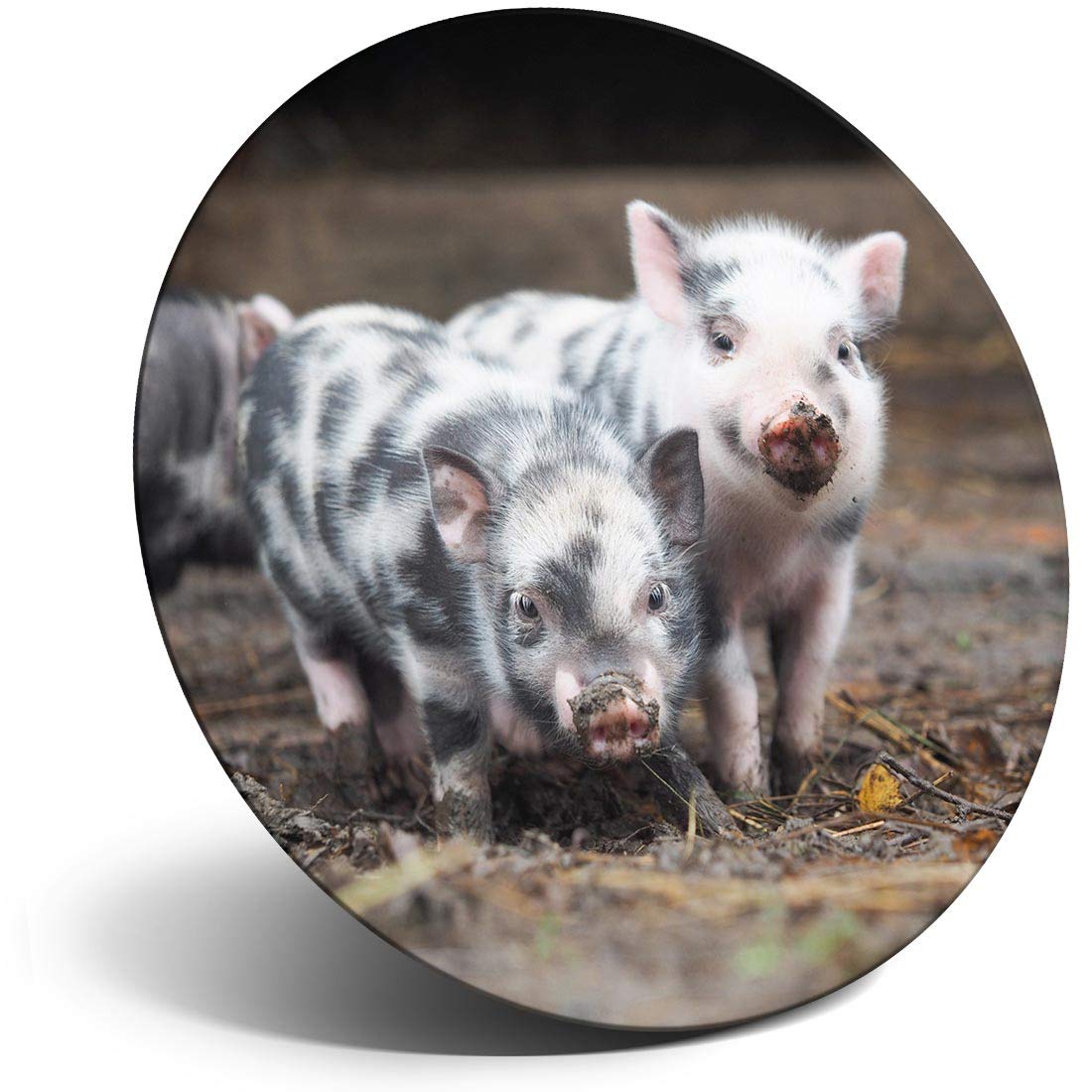 Destination Vinyl Ltd Magnet For Refrigerator, Fridge - Little Piglets Pig Farm Farmer Animal For Office, Cabinet And Whiteboard, Magnetic Stickers, 45576