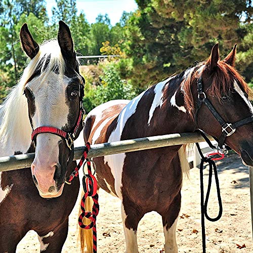 Safety Tie Injuries Preventing Horse Tether Tie, Horse Safety Release Tie Down Clip 2pcs (Turquoise) - Thumbnail 7
