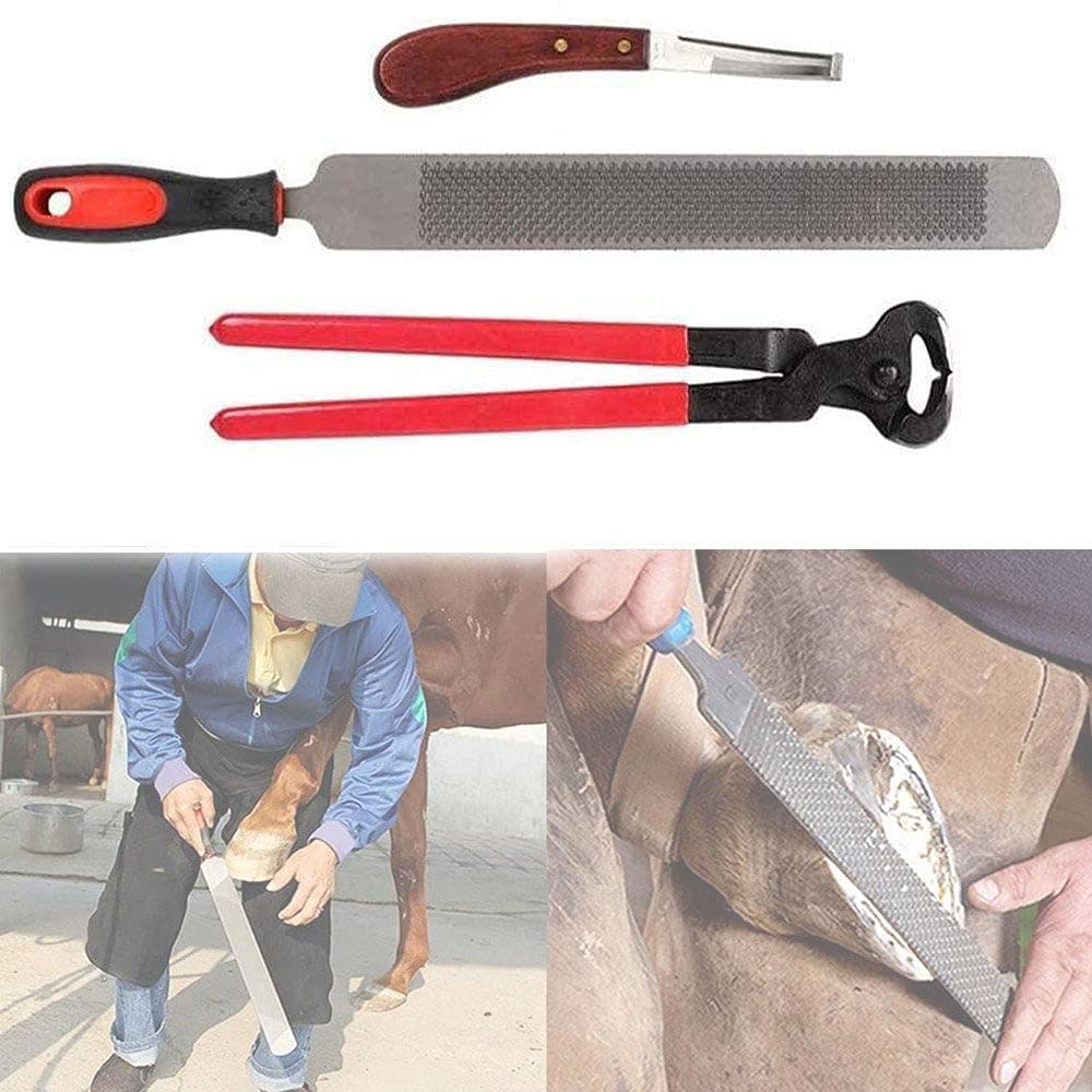 Buy AGeneric Horse Farrier Hoof Trim Tool Kit Horse Equine Metal