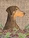 PatioPlus 11 x 15 in. Doberman Garden Size Flag