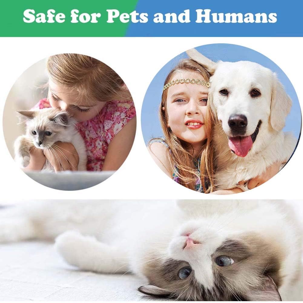 leQuiven Cat Calming Collar, 3 Pack Calming Collar for Cats, Kitten Pheromone Anti-Anxiety Calm Collars, Adjustable Waterproof Collar Up to 15 Inches Fit for Small Medium Large Cats (Violet)