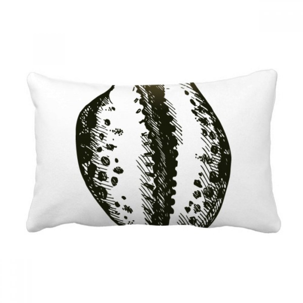 Coussin lombaire vie marine noire motif pétoncle décoratif pour canapé de salon 40x60 cm