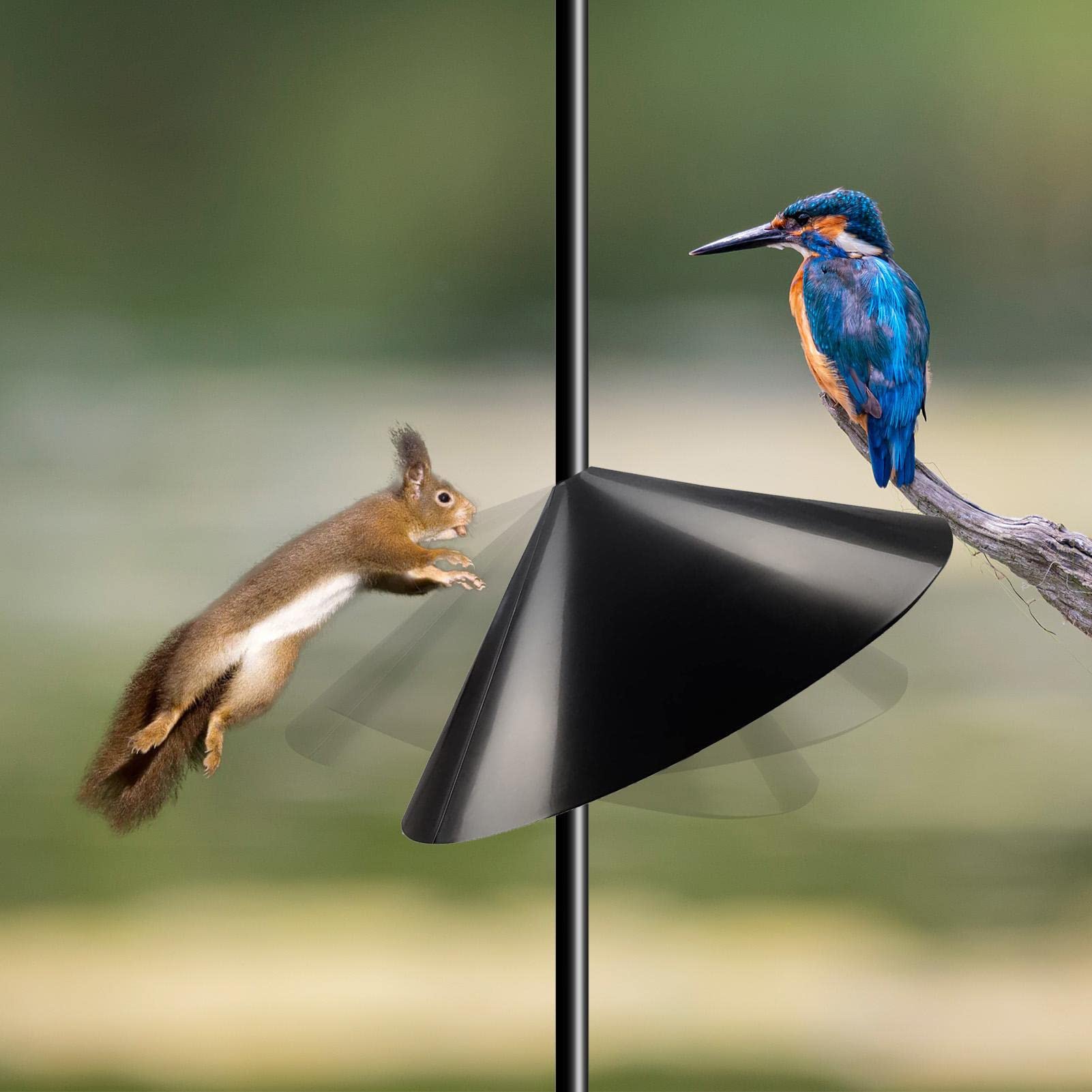 Mangiatoia Per Uccelli, Pratica Protezione Avvolgente A Prova - Foto 7