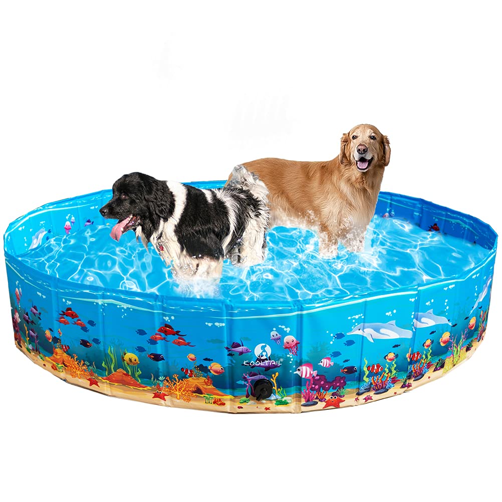 Why Do Dogs Hate Baths But Love Swimming