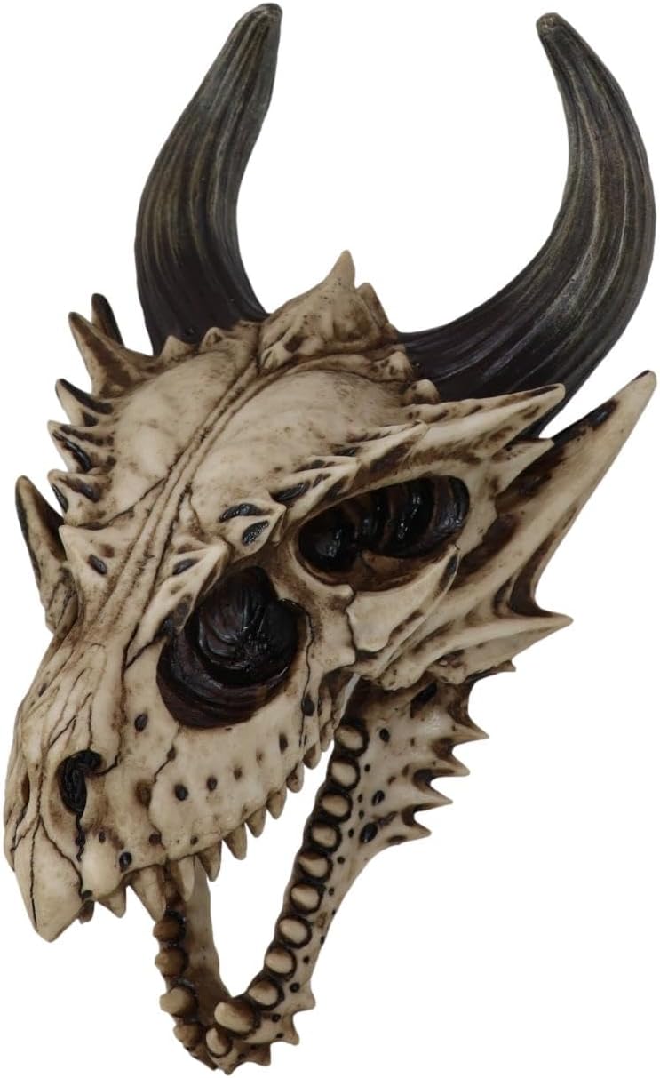 Ebros Gift Jurassic Beowulf Gnarling Dragon Head Skull Realistic Fossil Wall Sculpture Or Desktop Statue Paperweight 11.75" H for Medieval Fans Game of Thrones Dungeons and Dragons Fantasy Decor