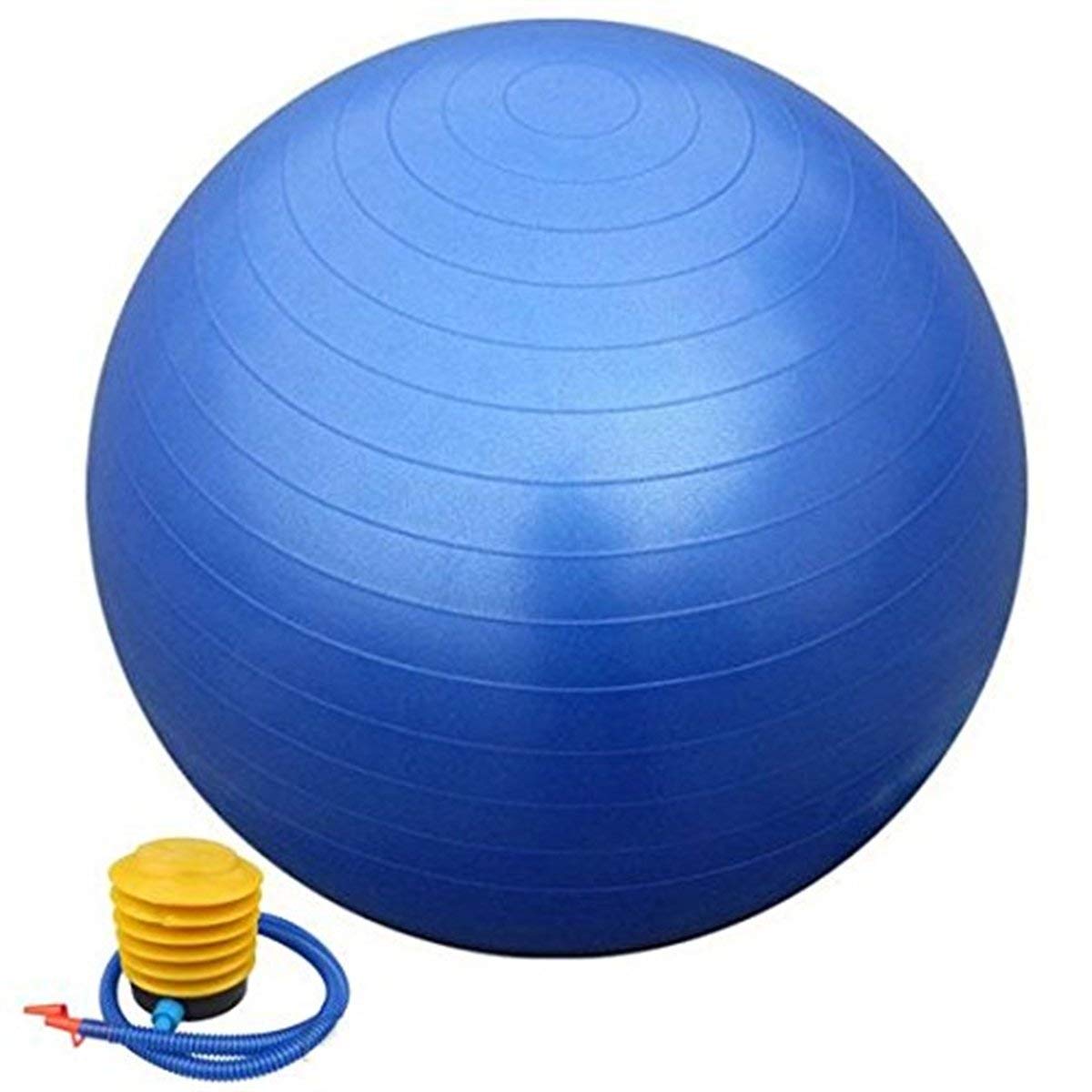 Aerofit Exercise Ball for Good Fitness and Anti Burst Ball 65cm (Colour May Very) (B08462HWZH) Amazon Price History, Amazon Price Tracker