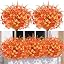 9pcs-m-orange