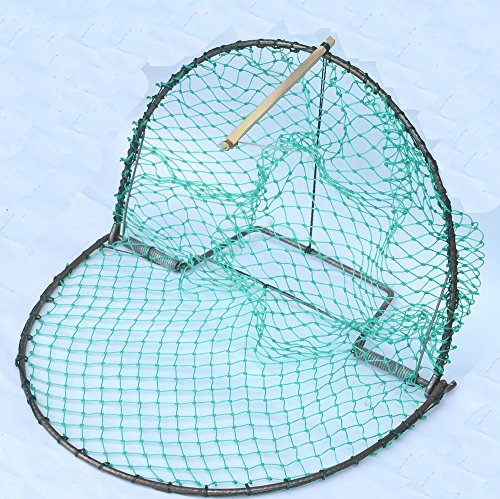 Alemon 12â€œ Bird, Pigeon, Quail Humane Live Trap Hunting Bird Trap, with Trap Installation Instruction
