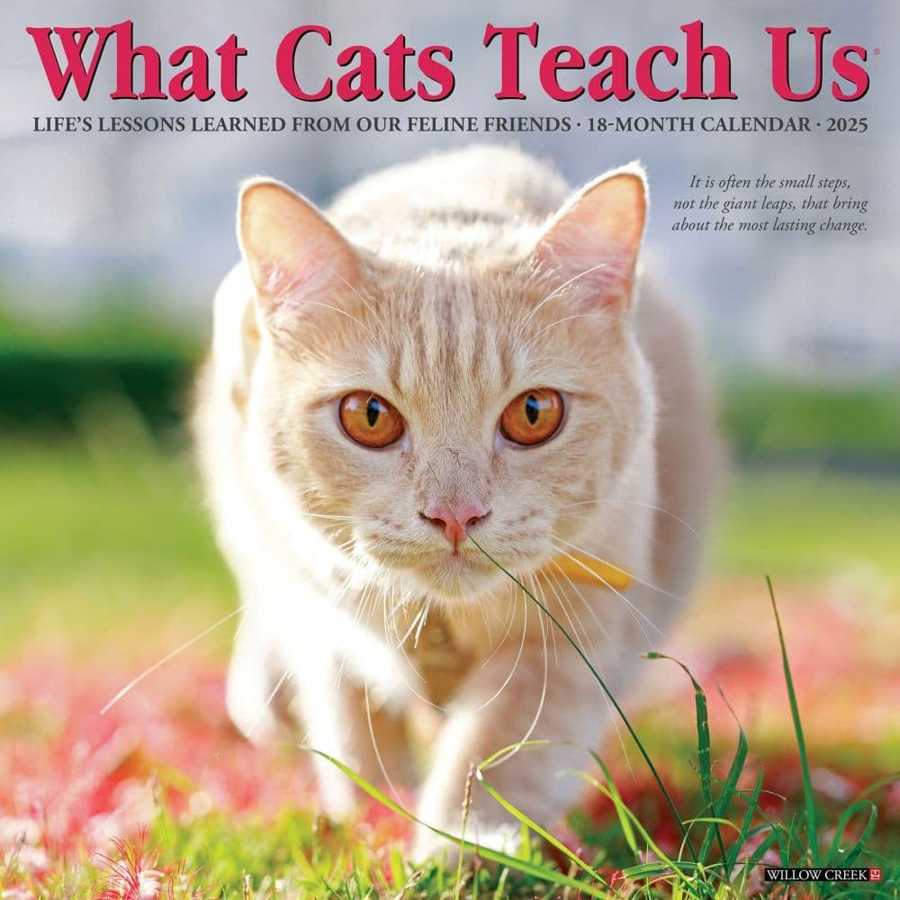 What Cats Teach Us 2025 12" x 12" Wall Calendar