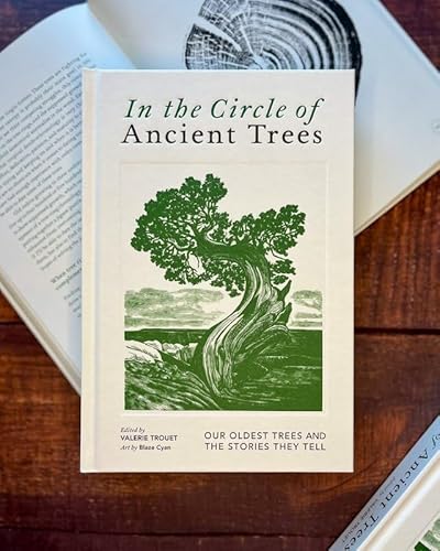 Ep. 547 - Ancient Tree Stories cover art