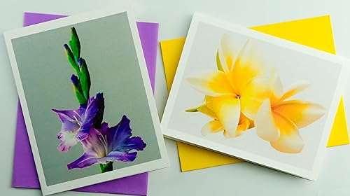 Miniatura 198 de Blooming Flowers – Orquídea Phalaenopsis – Tarjetas fotográficas de alta gama, pesadas y suaves, 8 con 10 sobres de colores, juego en caja