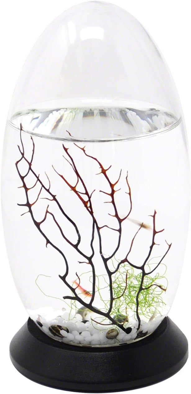 EcoSphere Closed Aquatic Ecosystem, Small Pod, with Turntable Base