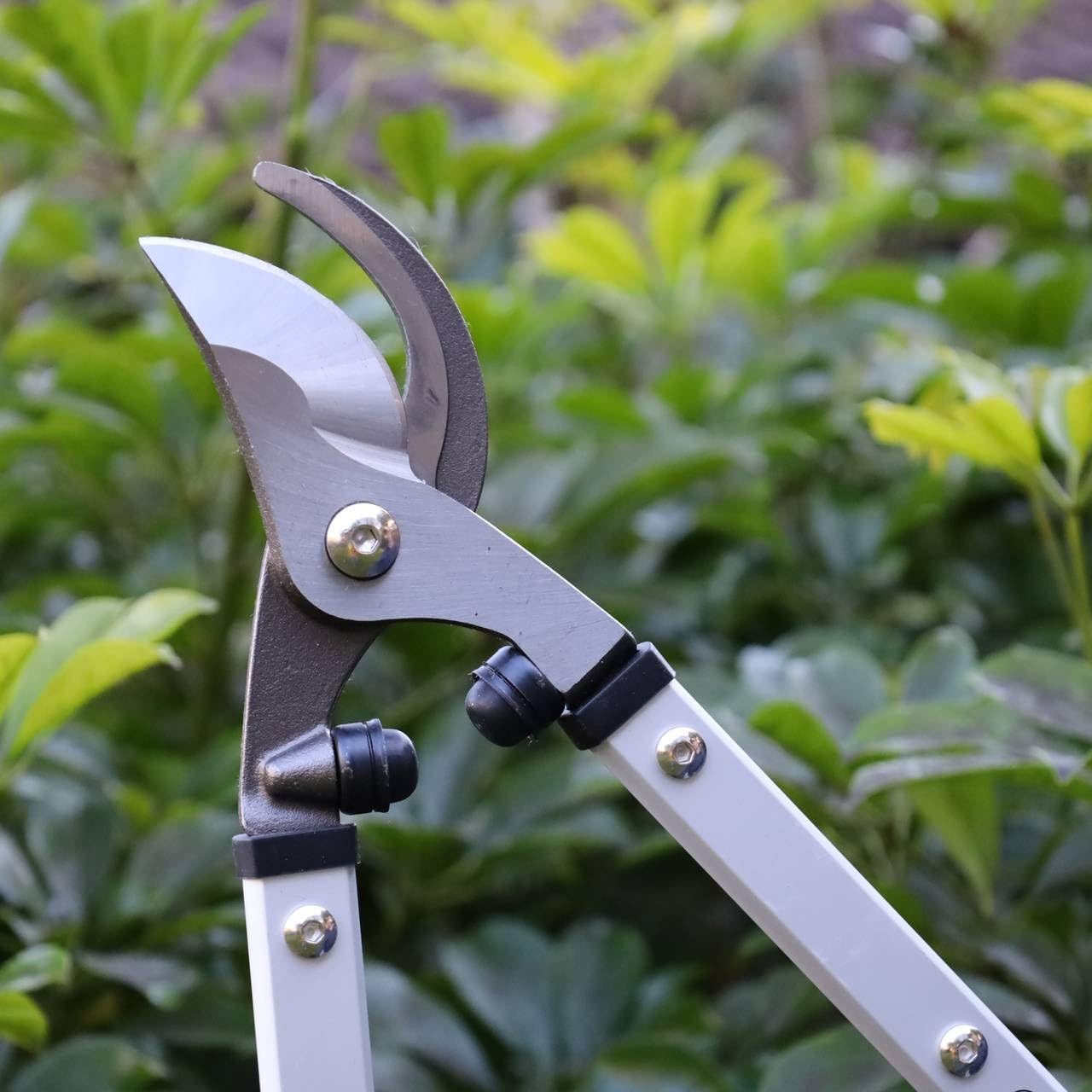 Darlac Super Pro Bypass Loppers for heavy duty pruning