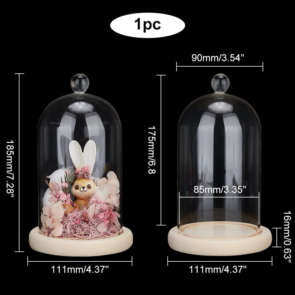 PH PandaHall 4pcs Dôme en Verre Cloche avec Liège Petites Bouteilles en Verre Pots Décoratifs Cloche Vitrine pour le Stockage de Fleurs Maison Fête de Noël Décoration