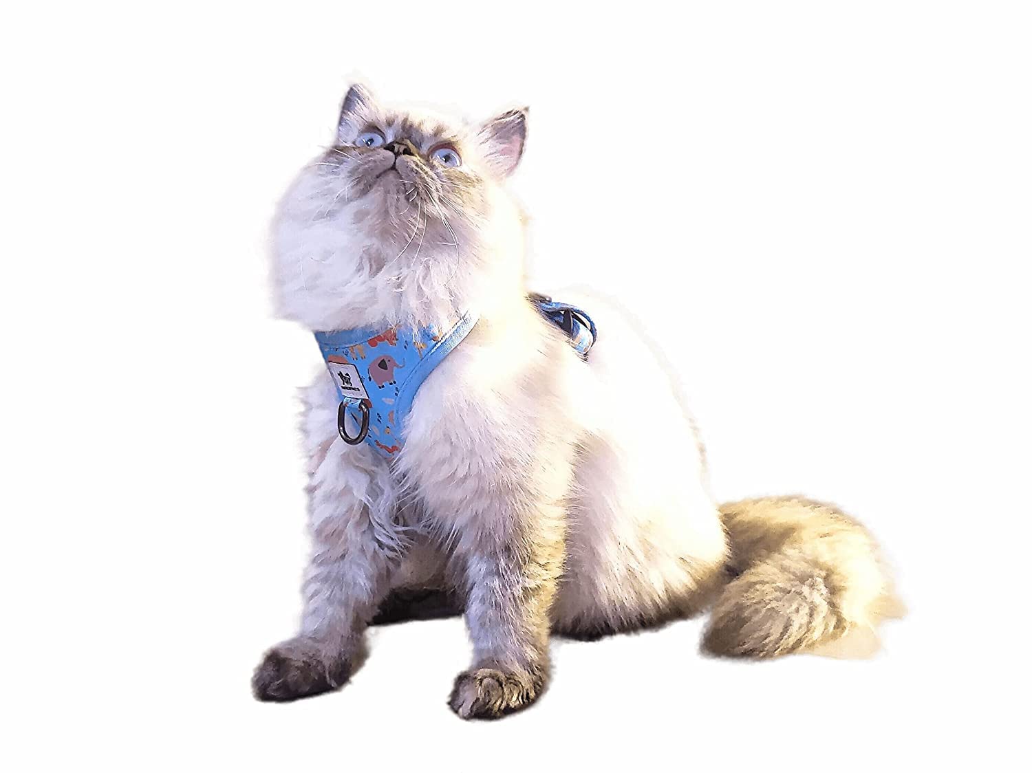 House Of Pets No-Pull Pet Harness with 2 D-Rings for Leash Placement, Adjustable Harness for Training, Walking, Running, No-Choke Harness for Cats (S) (B0BP1KBT45) Amazon Price History, Amazon Price Tracker