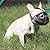JYHY Short Snout Dog Muzzle- Adjustable Breathable Mesh Bulldog Muzzle for Biting Chewing Barking Training Dog Mask, Gray S