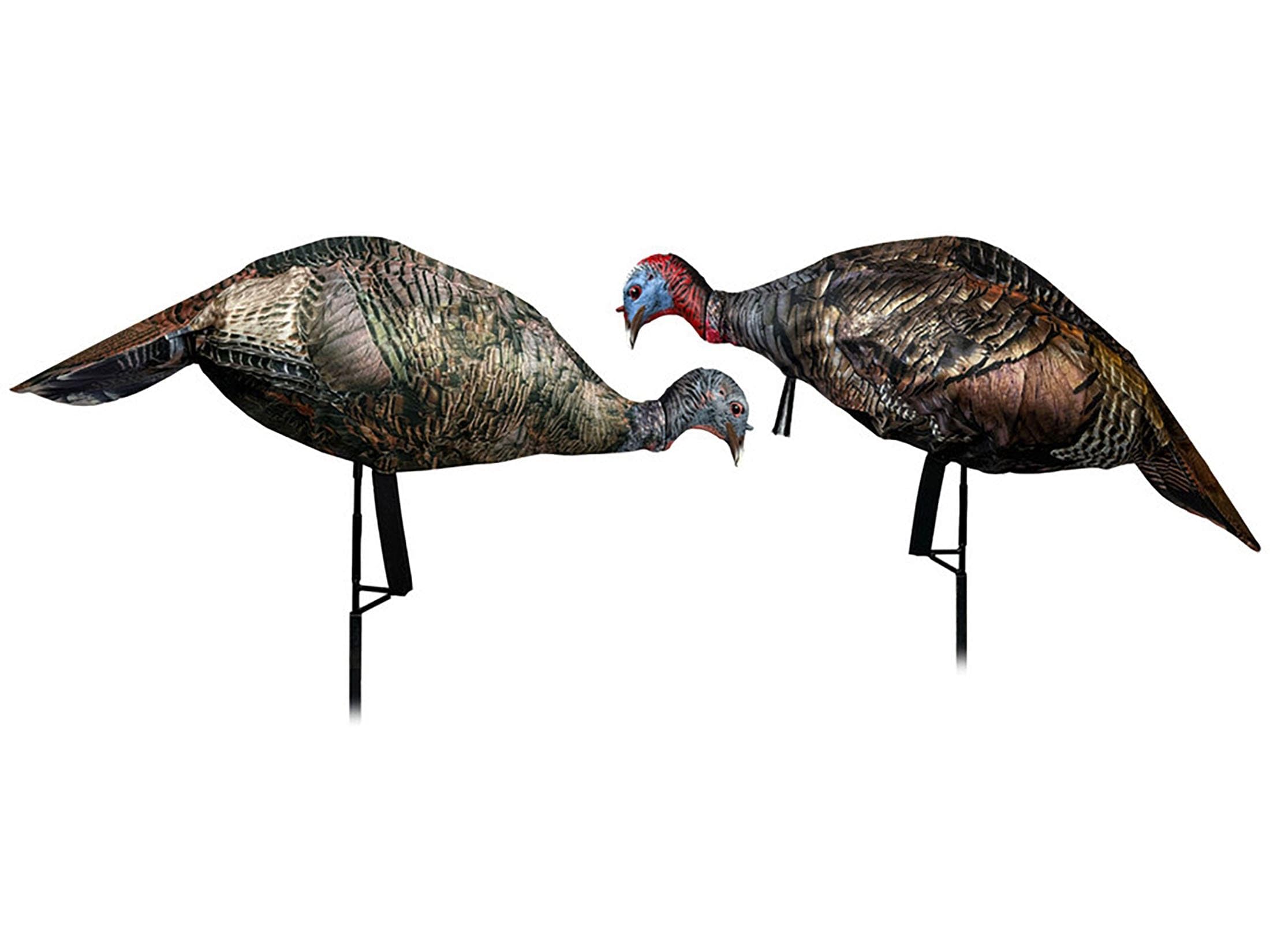 Amazon.com : MONTANA DECOY Purr-FECT Pair XD3 Hen and Jake Turkey