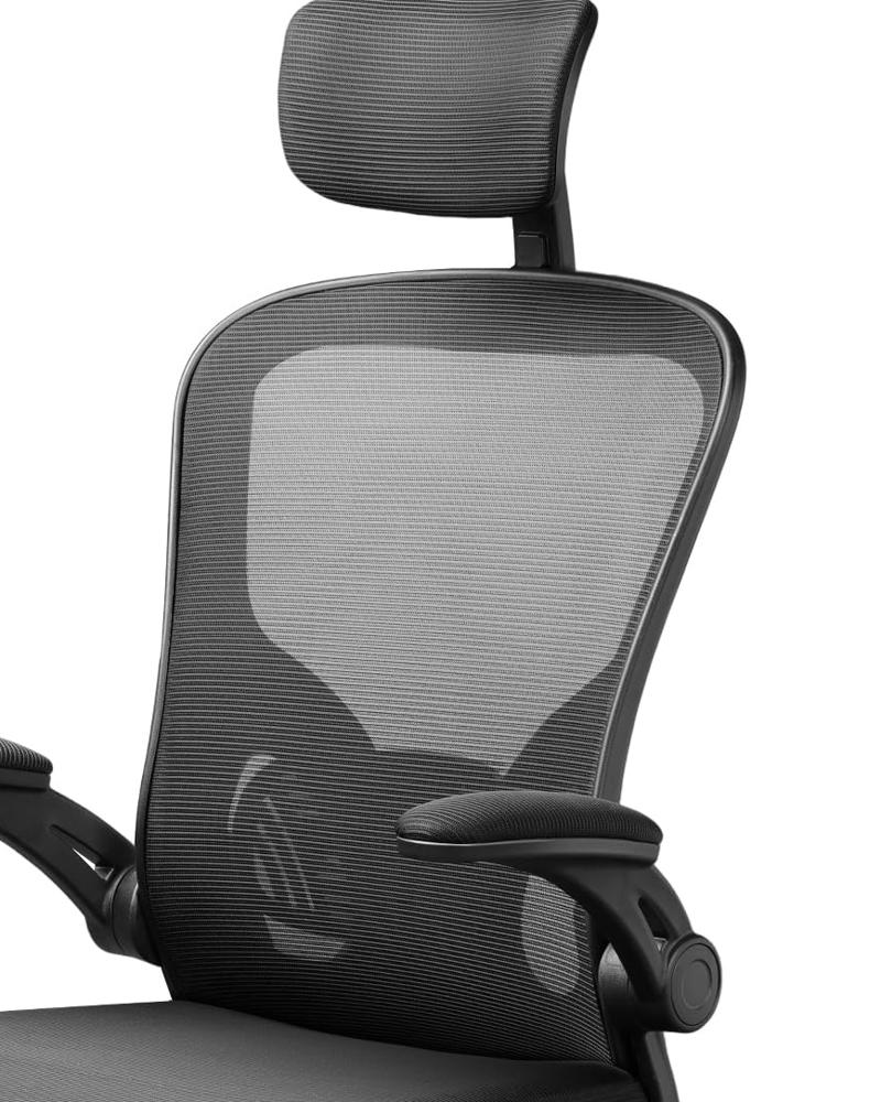 Amazon.com: DEVAISE Office Chair High Back Mesh Ergonomic Desk