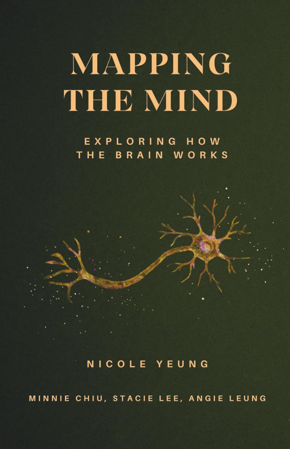 Mapping the Mind: Exploring How the Brain Works