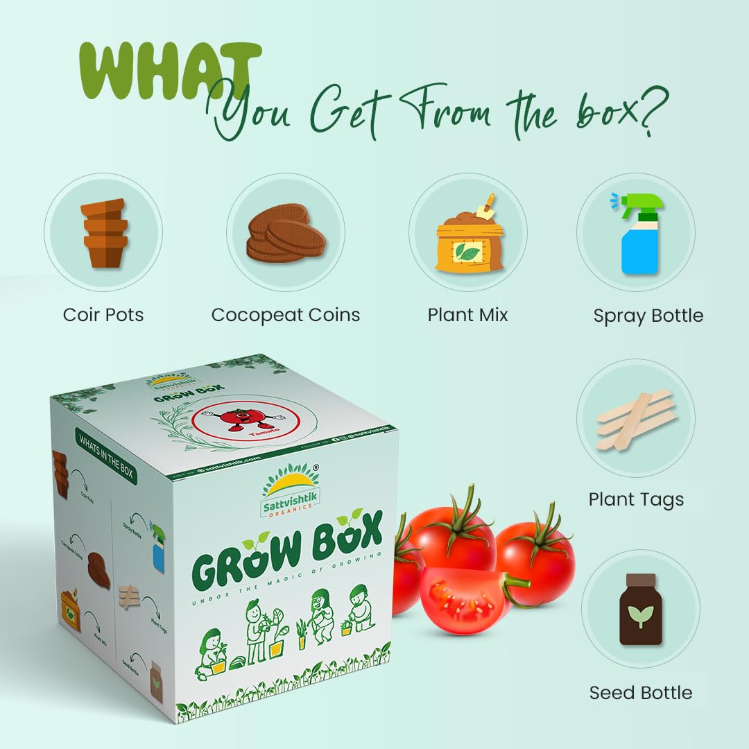 Sattvishtik Grow Box Tomato Vegetable Kit for Kids | Pack of 1 | Eco Friendly Gift for Kids | Beginner Gardeners | DIY | Easy Grow it Yourself Gardening Kit for Home & Garden 2