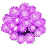 Solar Outdoor String Lights, Satu Brown 21ft 30LED Chuzzle Ball Fairy Romantic Purple Waterproof Christmas Lights Decorative Lighting For Home, Garden, Patio, Yard, Parties