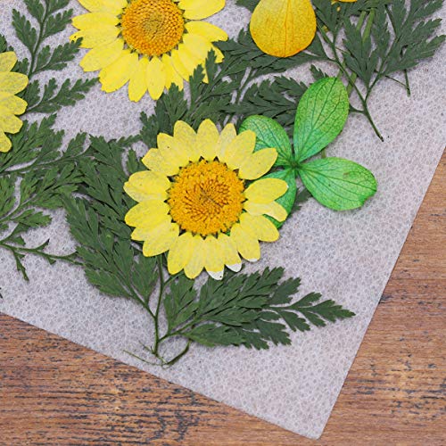 SEWACC 1 Conjunto de Cartões de Remendos Materiais de Flores Jóias Velas Secas Naturais Fazendo Resi