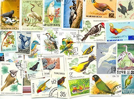 IHC Theme Birds All Large and Small 100 Different Stamps (Multicolour) (B079QM1BNW) Amazon Price History, Amazon Price Tracker