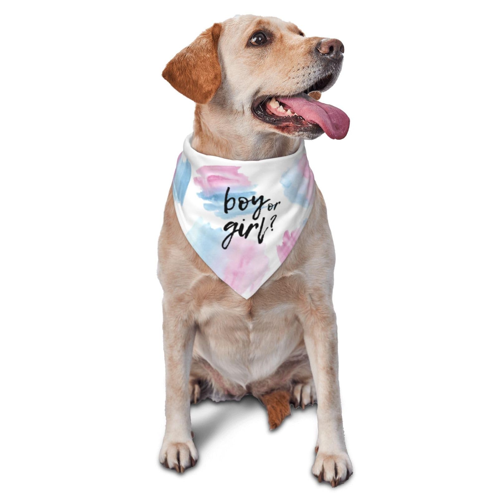 vercosee He Or She What Will It Be? Gender Reveal/Baby Announcement Dog Bandana,Pet Neckerchief for Pets Daily Wear Photo Prop Party Supplies (Color
