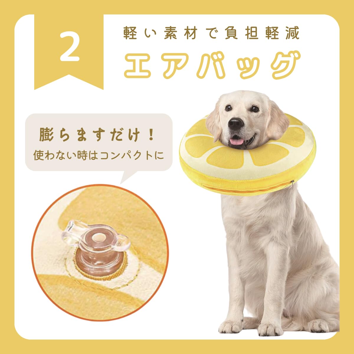 Amazon | stawink エリザベスカラー 大型犬 中型犬 犬 猫 小型犬