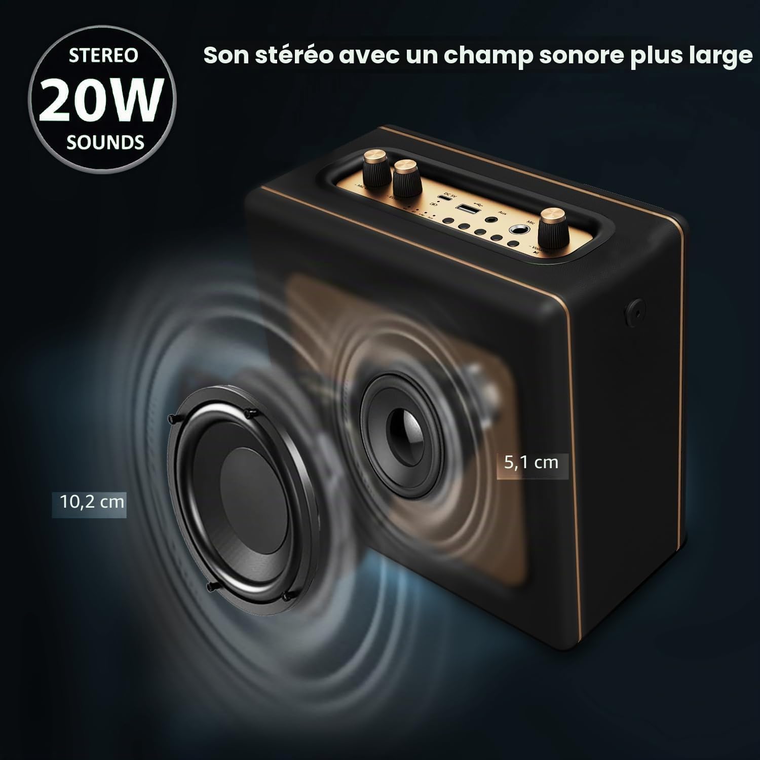 LONPOO Enceinte Bluetooth rétro Aspect Cuir avec Batterie, 20 W, Lecteur USB, entrée auxiliaire, Prise Microphone 6,5 mm, Charge de Type C, Micro Chaîne HiFi stéréo