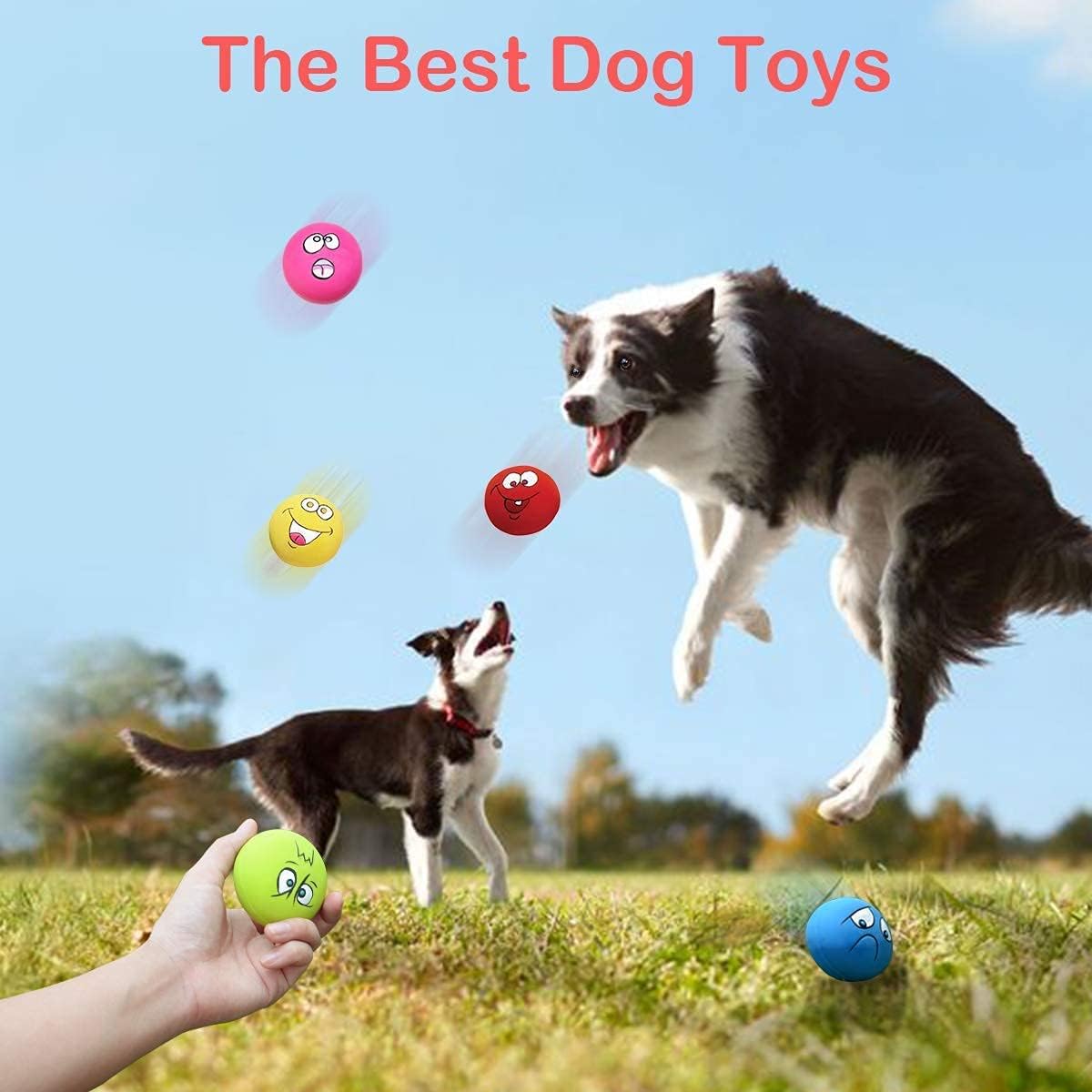Pet Supplies : HOLYSTEED Latex Dog Squeaky Toys Rubber Soft Dog Toys Chewing Squeaky Toy Fetch Play Balls Toy for Puppy Small Medium Pets Dog 6pcs : 