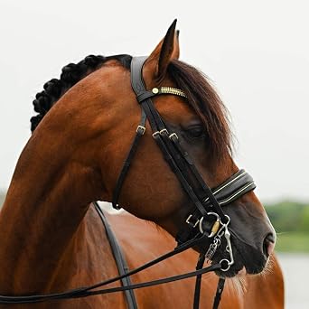 Delta Bridle Double Black Full