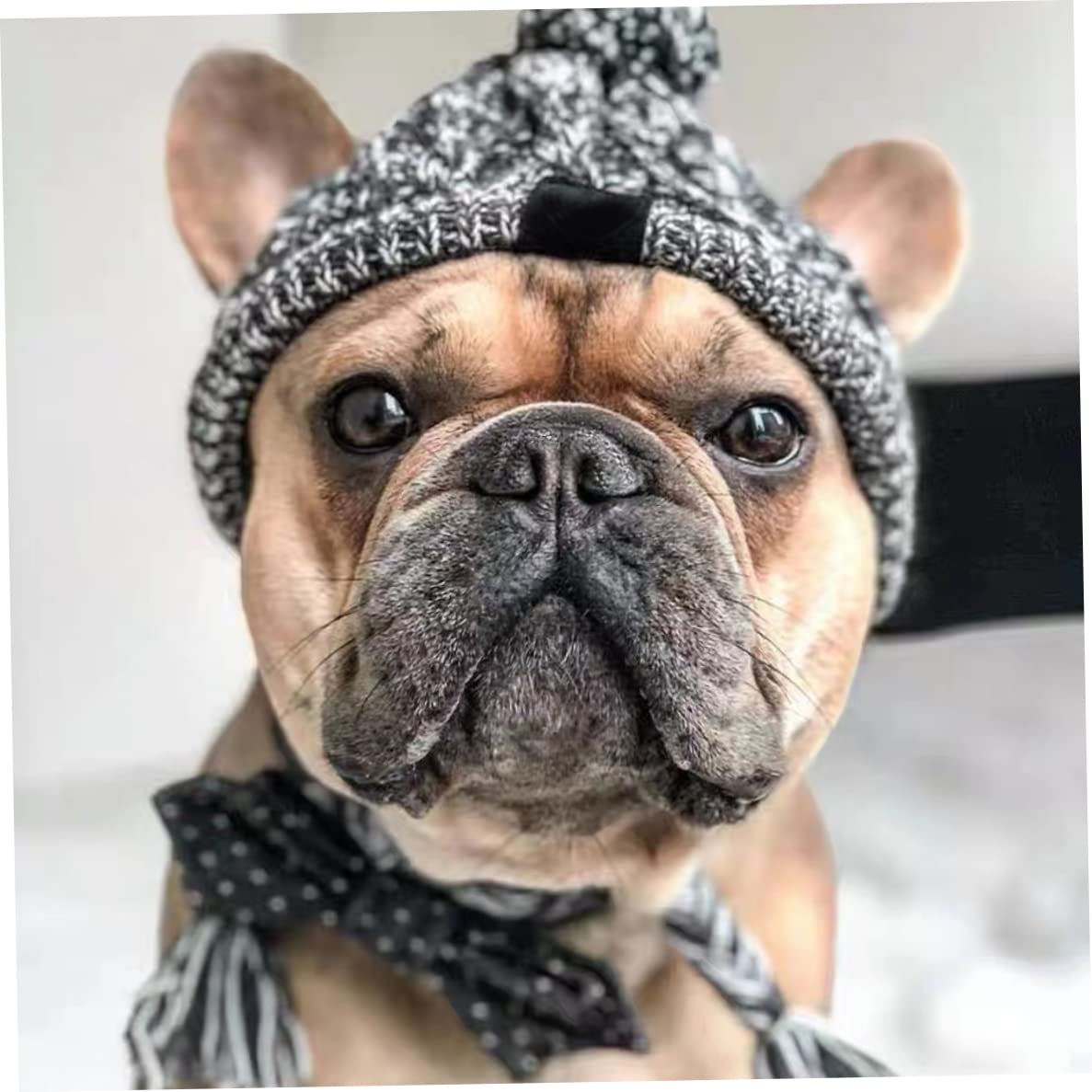 Dog Knitted Hat Winter Warm Windproof Dog Cap with Pom Pom Ear Holes Tassel, Dog Winter Hat, Dog Knitted Hat
