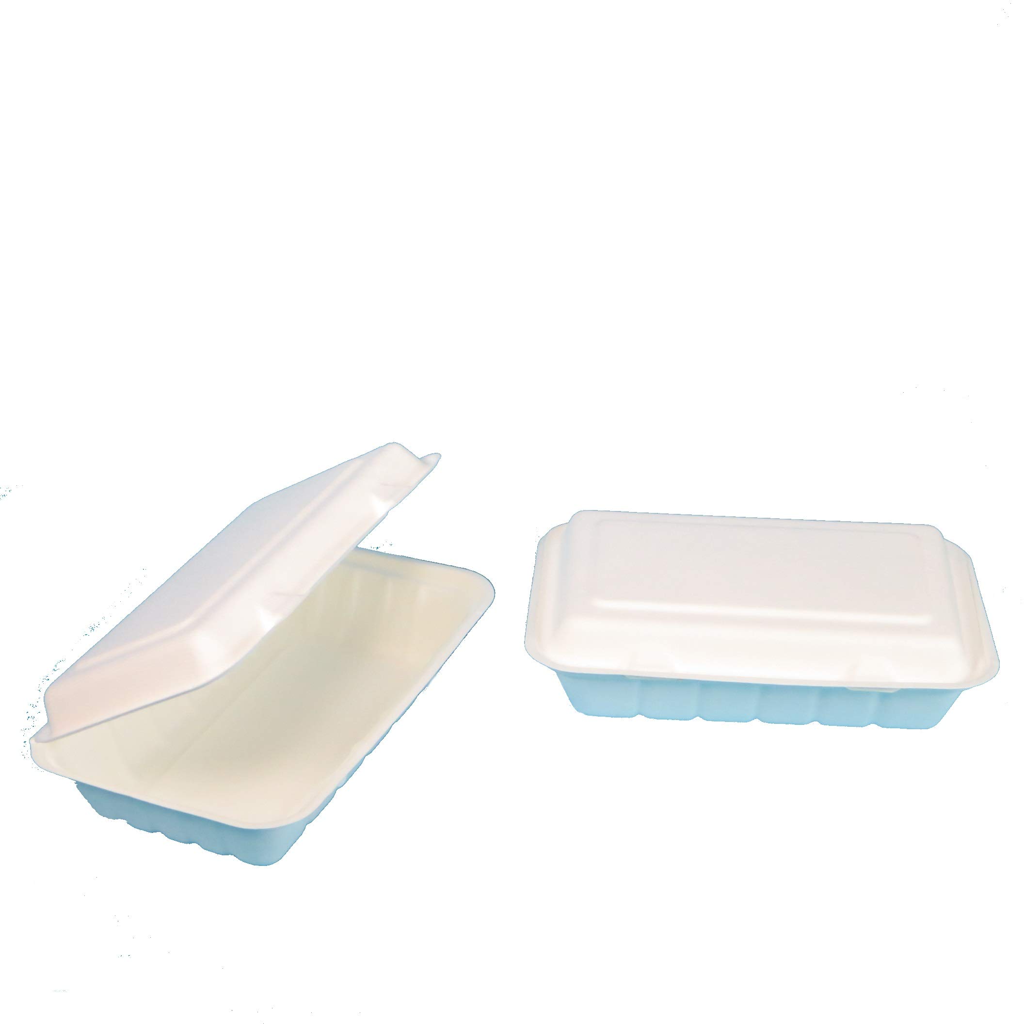 Pro DP 500 Bio Snackboxen Foodbox Doppel Burgerbox Imbiss Lunchbox Menübox weiß 244x162x72mm Bagasse Zuckerrohr kompostierbar - Inkl. VerpG in D