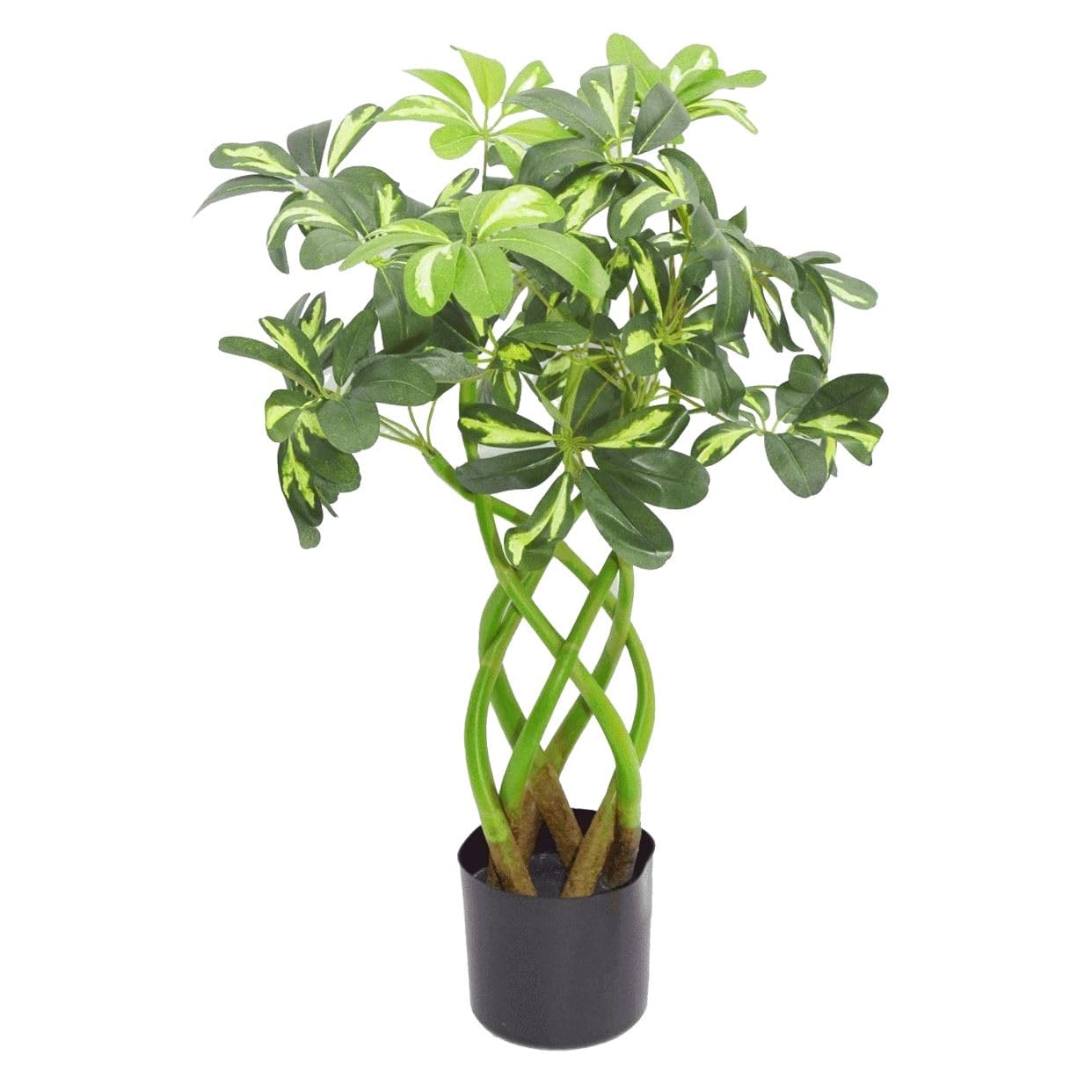 Botanik Artificial Office Plants