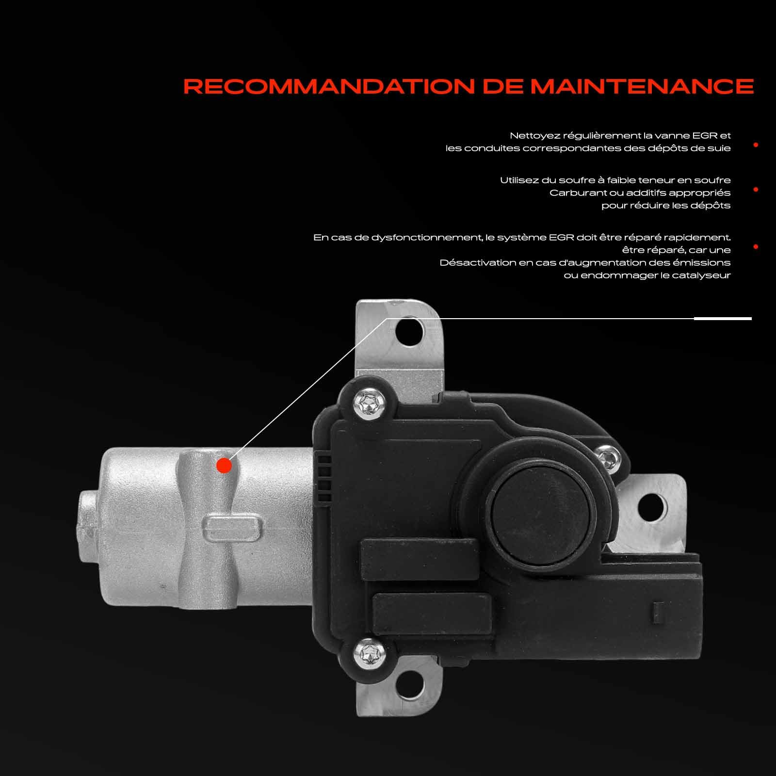 Frankberg Vanne EGR de recirculation des gaz d'échappement 8200561269 | Compatible avec: Logan Pick-up US,,,,Modus/Grand Modus F/JP0,Scénic II