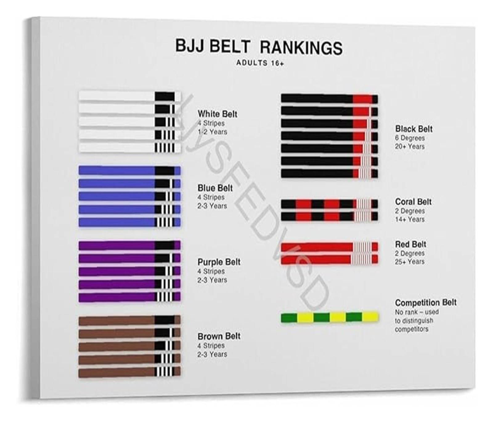 UYCUODLUY BJJ Brazilian Jiu-Jitsu Belt Progression Chart for Men Educational Grappling Rank Order Reference Poster Martial Arts Decor(Unframed,08x12inch(20x30cm))