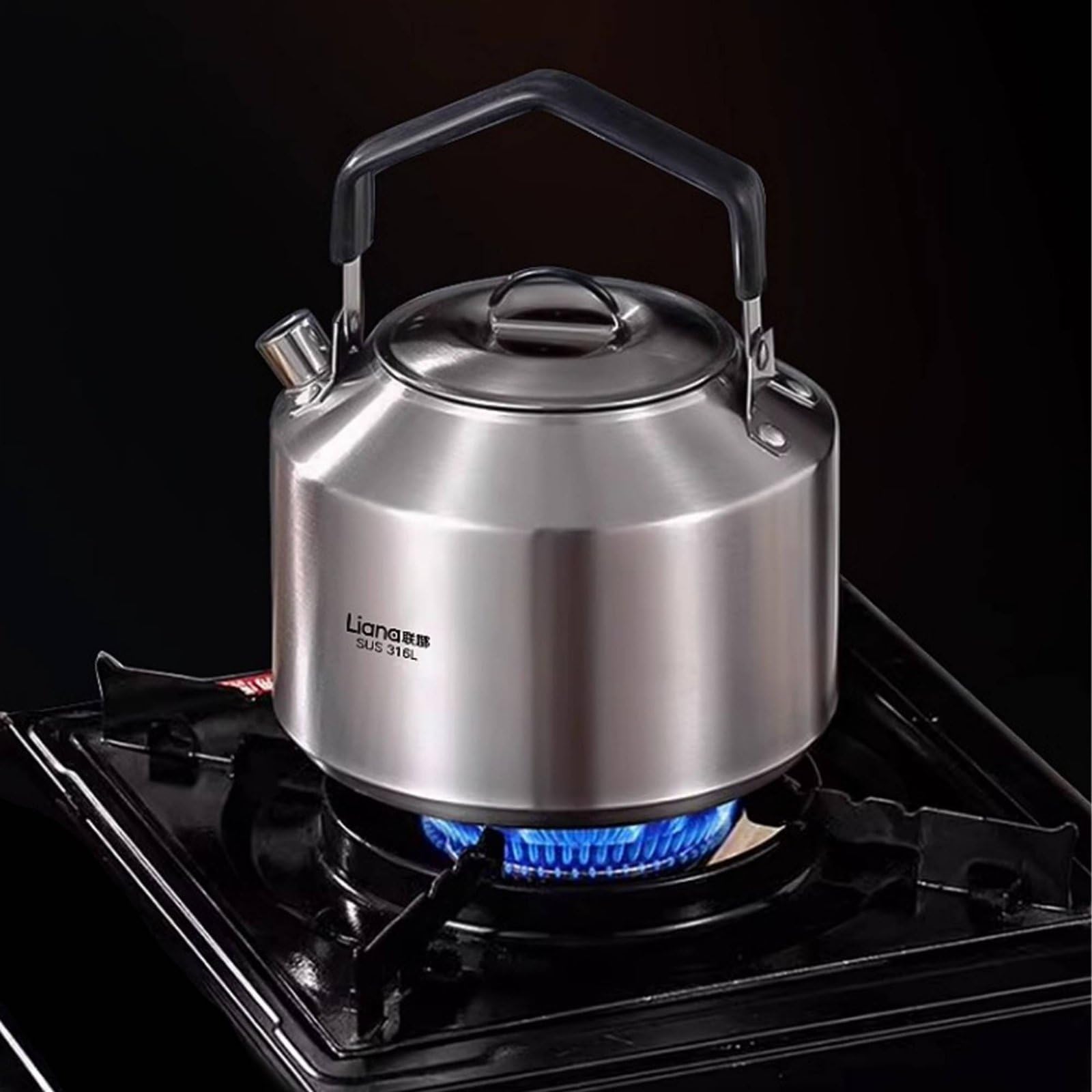 Bouilloire de Pique-nique avec Anse Résistante à la Chaleur Acier Inoxydable 316L Grande Ouverture Pratique Adaptée au Camping Randonnée Pique-nique Cuisine, 1000ML, size to 1